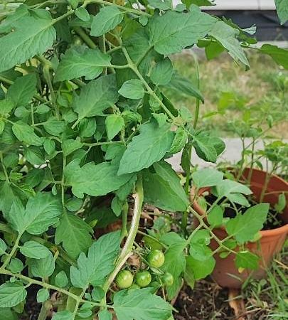 Appartamento Chez Cali Eyrans-de Soudiac Esterno foto