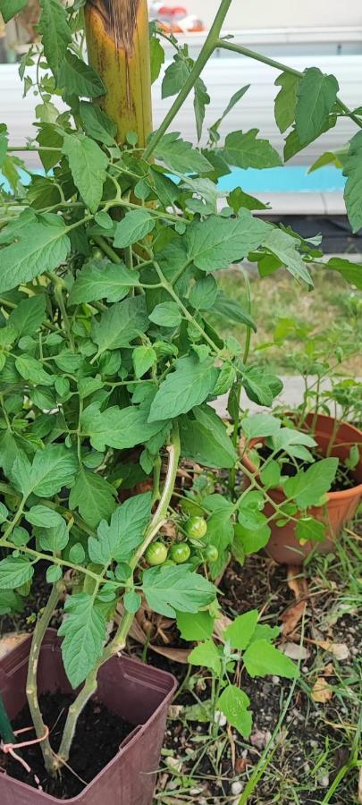 Appartamento Chez Cali Eyrans-de Soudiac Esterno foto